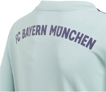 Fanbekleidung FC Bayern München Kinder-Auswärtstrikot 2018/2019, 164, Mintgrün