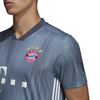Fanbekleidung FC Bayern München Ausweichtrikot 2018/2019, S, Grau