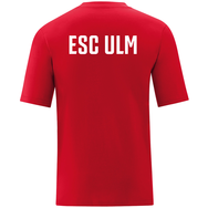 ESC Ulm Aktive (Wahl), Funktionsshirt Promo, Größe XXL